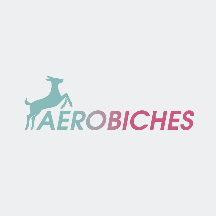AEROBICHES